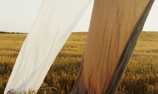 Fabrics blowing in in a field